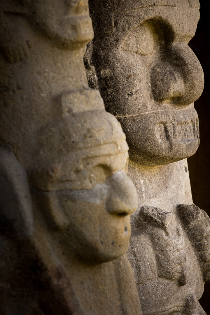 San Agust&iacute;n Archaeological Park