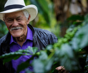 Finca Don Elias