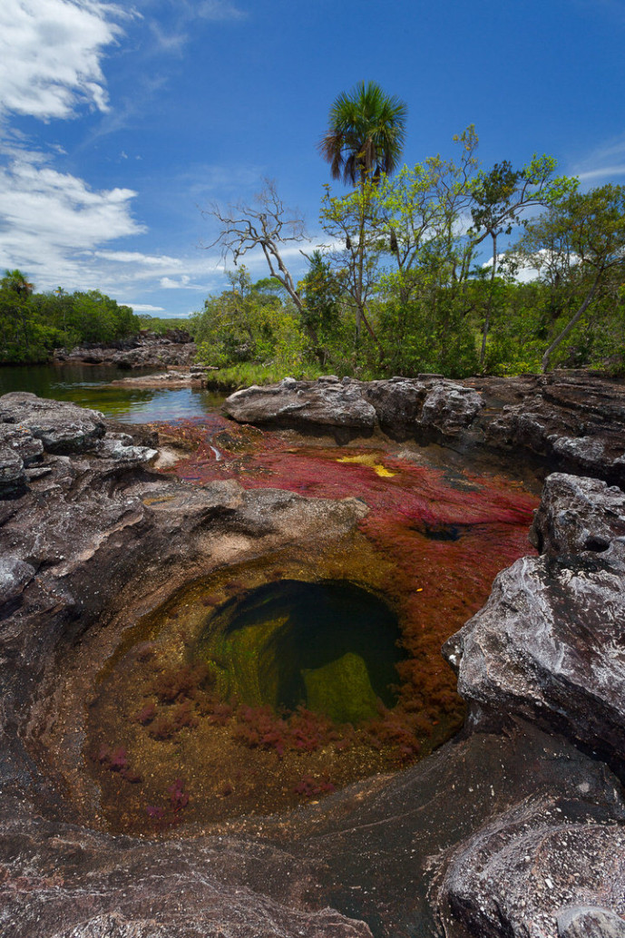 Caño Cristales