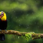 Sites à visiter au Costa Rica hors des sentiers battus