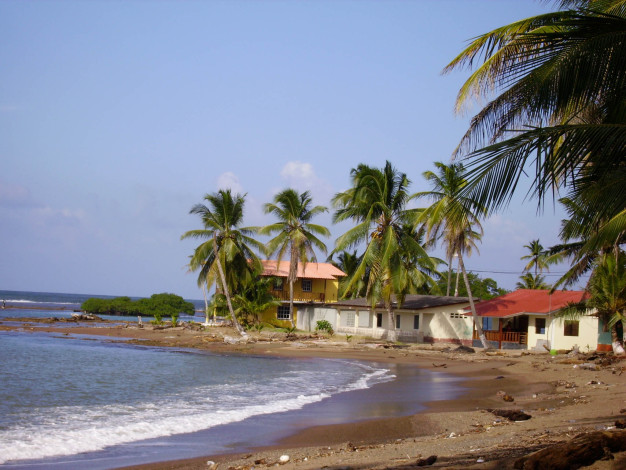 Plage tropicale avec palmiers et maisons en bord de mer.