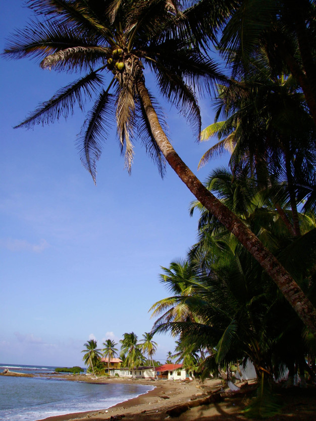Plage tropicale avec palmiers et vue sur l'océan
