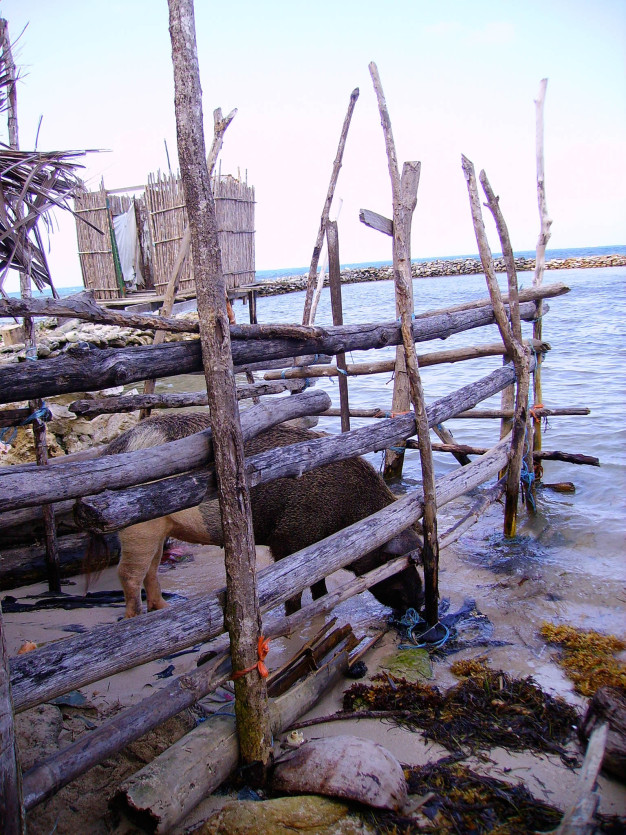 Clôture en bois en bord de mer avec cabane rustique.