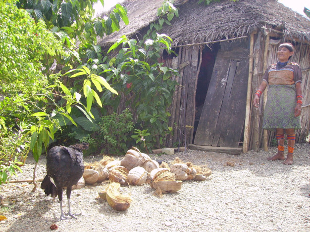 Femme debout près d'une hutte traditionnelle avec un coq.