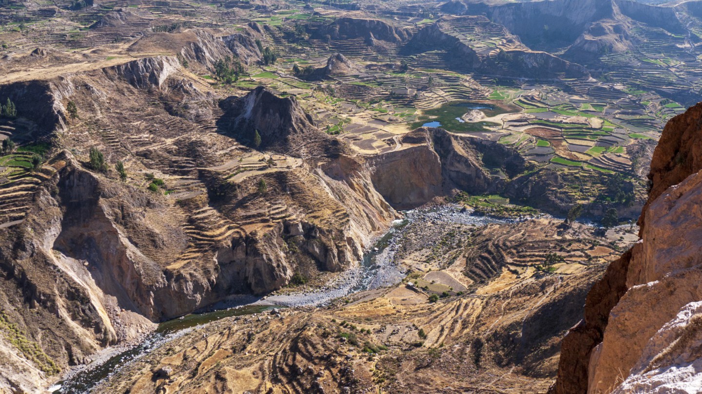 Colca Canyon wim van den brande Free Usel