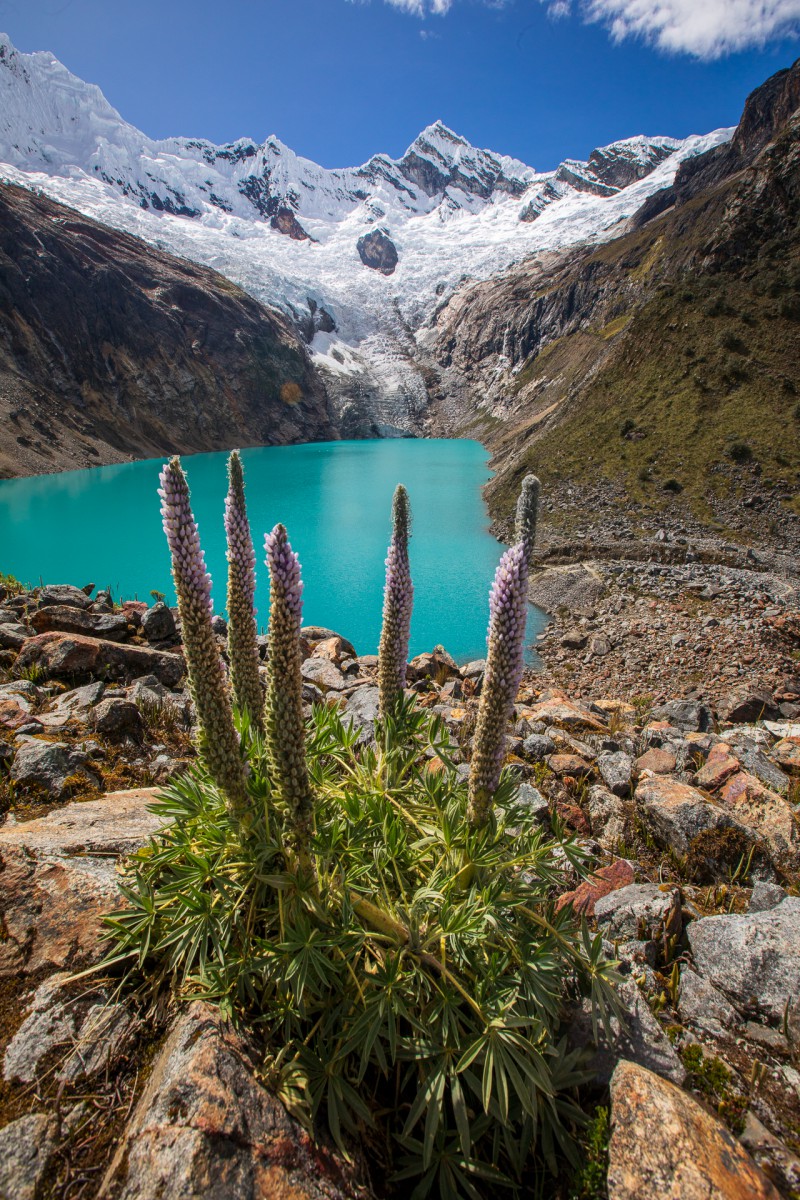 Trek Santa Cruz © Tristan Quevilly