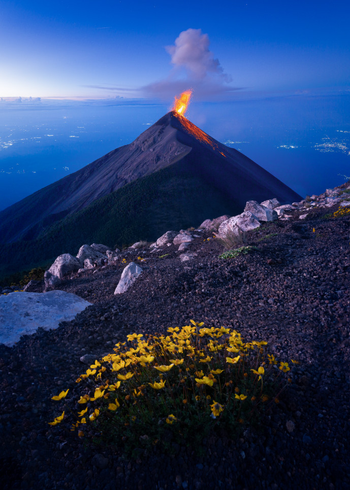 Éruption d'un volcan actif au crépuscule avec des fleurs sauvages jaunes.