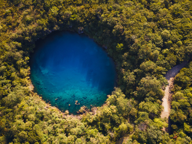 Aerial view of a lush forest sinkhole lake