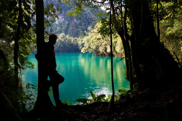 Person silhouetted against serene forest lake.