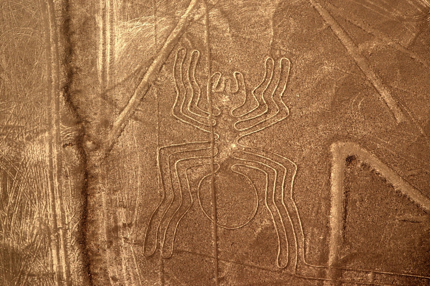 Lignes de Nazca Pérou Utilisation gratuite