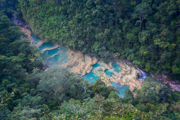 Aerial view of turquoise pools in a lush forest.