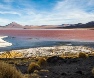 Laguna Colorada Bolivie, Laguna Colorada guide de voyage, Laguna Colorada guide de voyage ultime, visiter Laguna Colorada Bolivie, Laguna Colorada attractions, meilleure période pour visiter Laguna Colorada, comment se rendre à Laguna Colorada, choses à faire à Laguna Colorada, Laguna Colorada points forts, conseils de voyage pour Laguna Colorada.