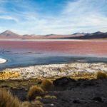 Laguna Colorada Bolivia: Your Ultimate Travel Guide