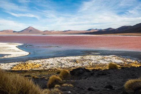 Laguna Colorada Bolivie, Laguna Colorada guide de voyage, Laguna Colorada guide de voyage ultime, visiter Laguna Colorada Bolivie, Laguna Colorada attractions, meilleure période pour visiter Laguna Colorada, comment se rendre à Laguna Colorada, choses à faire à Laguna Colorada, Laguna Colorada points forts, conseils de voyage pour Laguna Colorada.