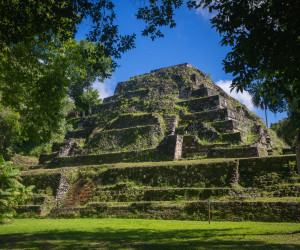 Ancient Mayan pyramid surrounded by lush forest.