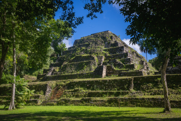 Ancient Mayan pyramid surrounded by lush forest.