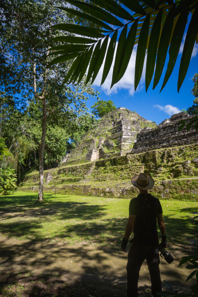 Personne observant d'anciennes ruines mayas dans la jungle.