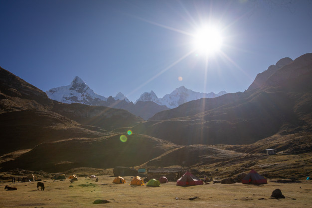 Sunny mountain campsite with tents and grazing animals.