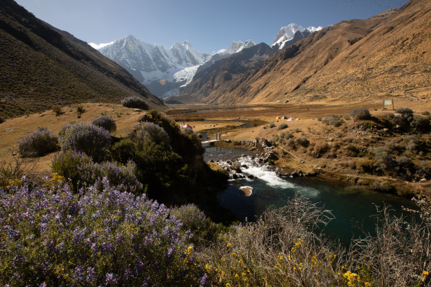 Mountain valley with river and wildflowers