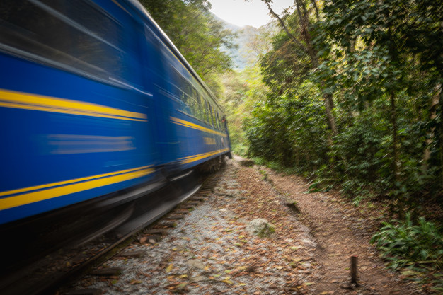 Train flou traversant une zone forestière.