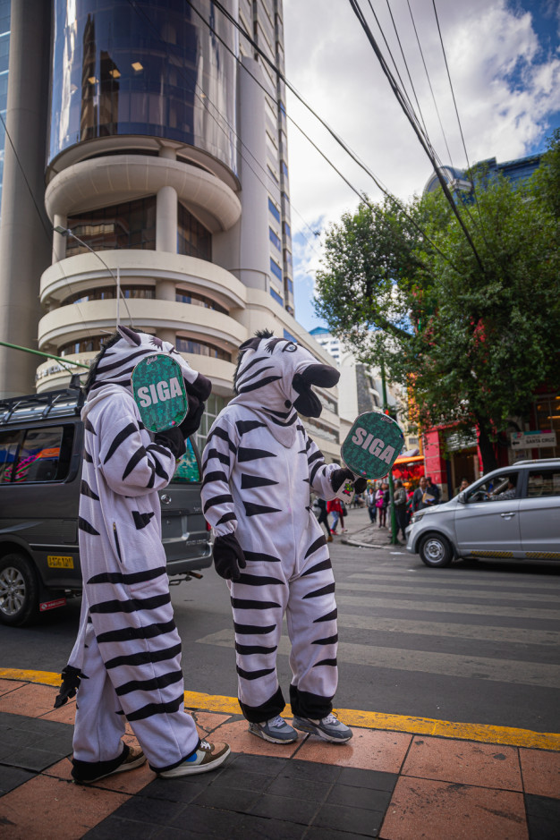 People in zebra costumes at urban crosswalk.