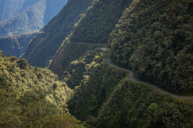 Winding mountain road through lush green forest landscape.