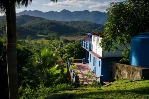 Hostal Buena Vista Viñales 1