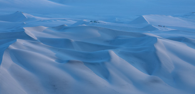 Snow-covered dunes at twilight