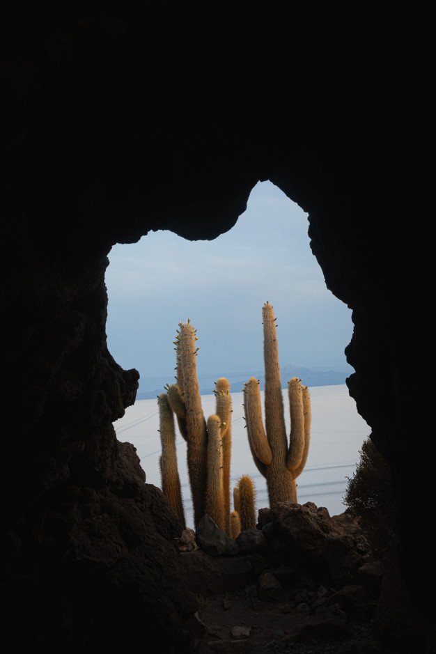Entrée de grotte encadrant des cactus sur fond de salines.
