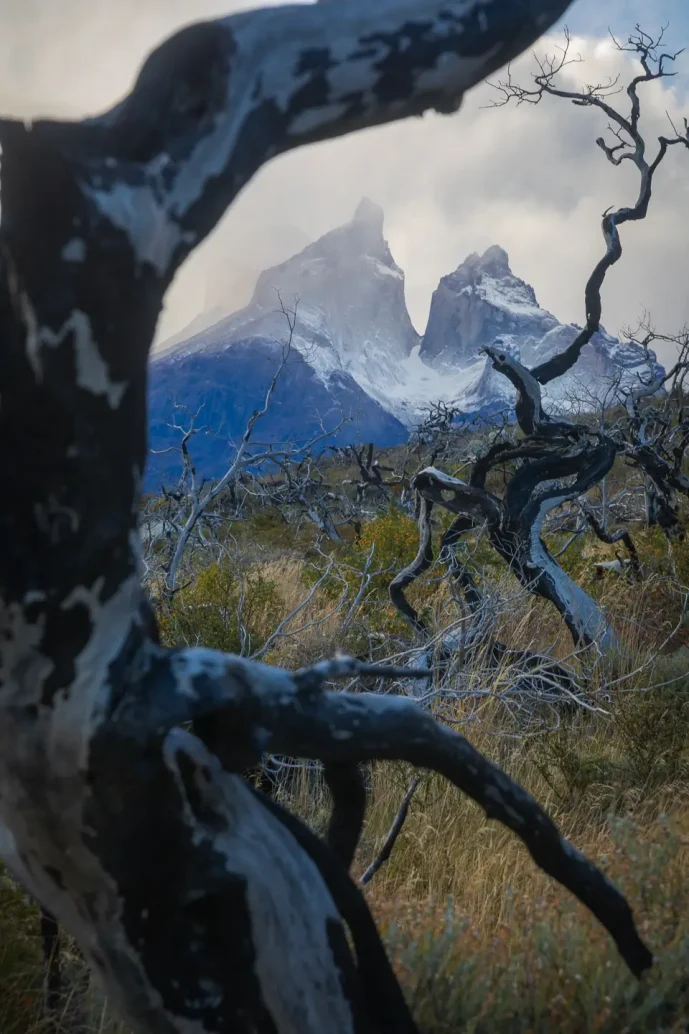 camping sodexo torres del paine national park chile 2