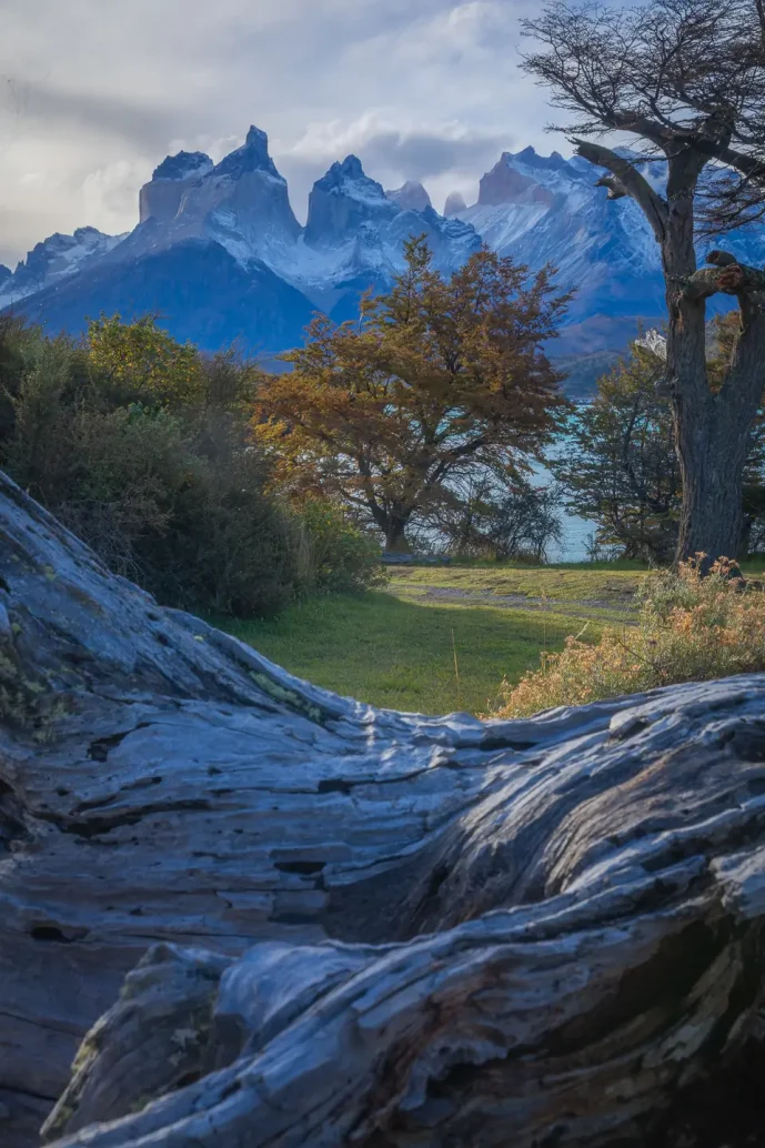 camping sodexo torres del paine national park chile