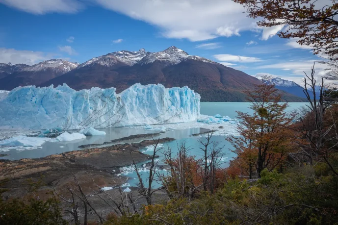 perrito moreno calafate argentina 2