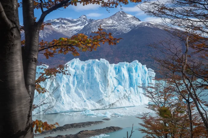 perrito moreno calafate argentina 3