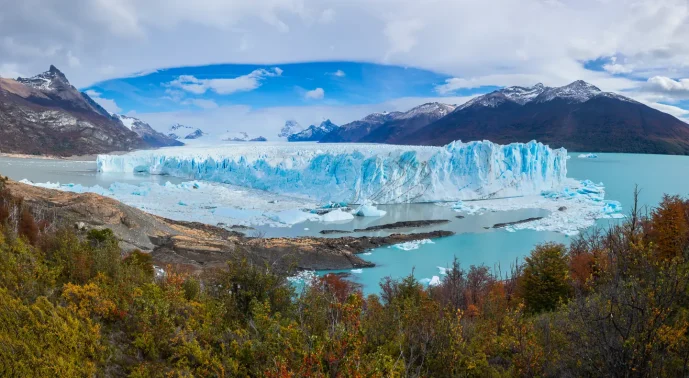 perrito moreno calafate argentina 5