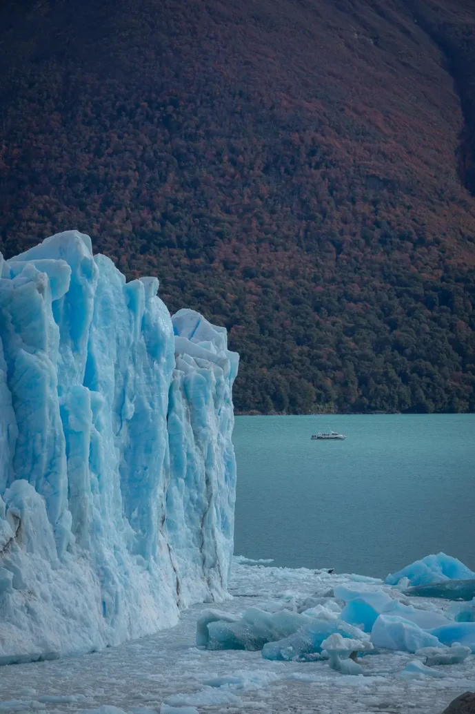 perrito moreno calafate argentina