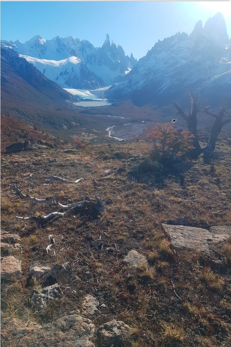 my camping loma plegue