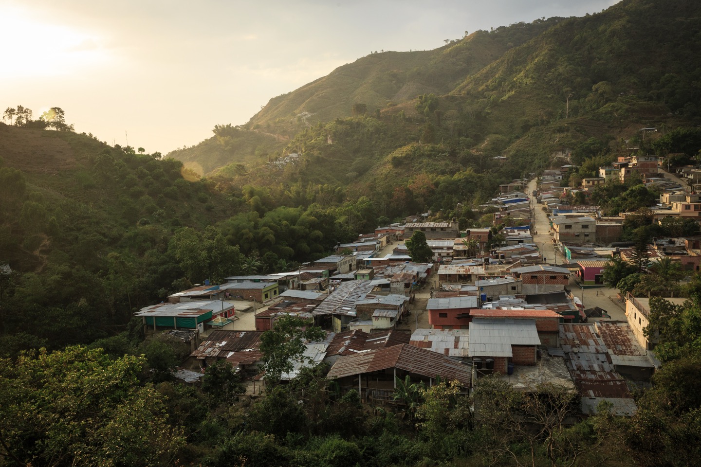 Palmor Village