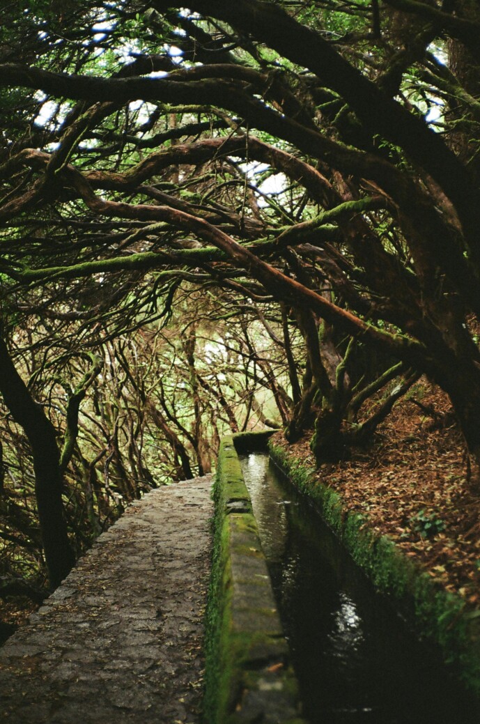 hike levada 25 fontes et risco