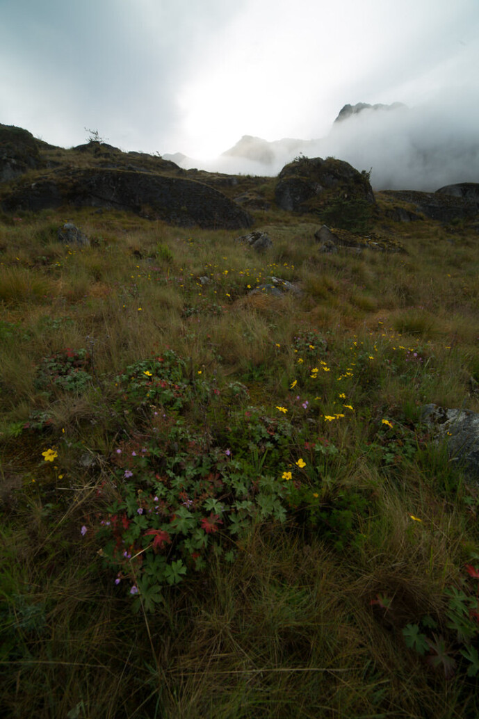 sierra nevada de santa marta colombia