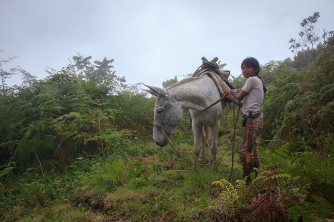 sierra nevada de santa marta colombia