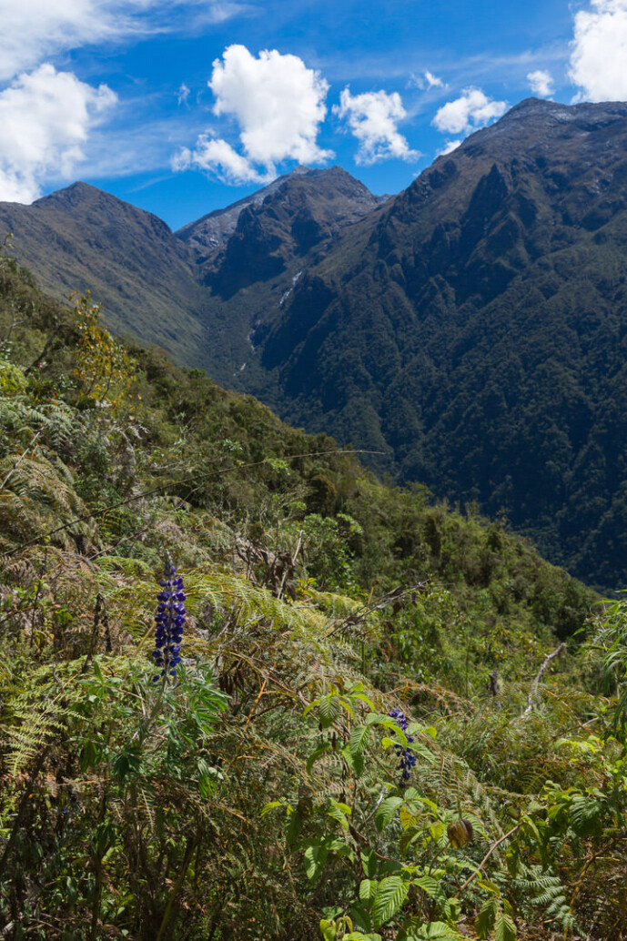 sierra nevada de santa marta colombia