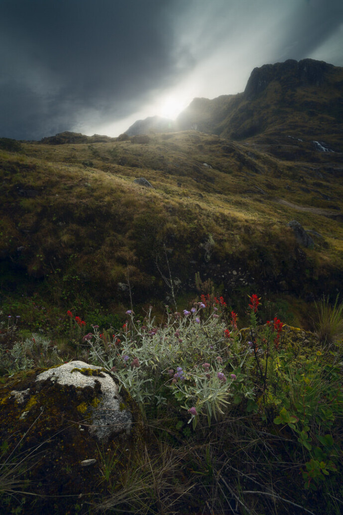 sierra nevada de santa marta colombia