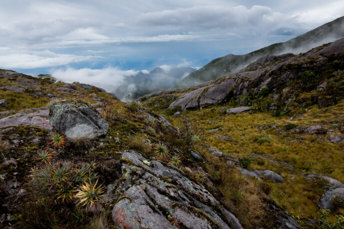 sierra nevada de santa marta colombia
