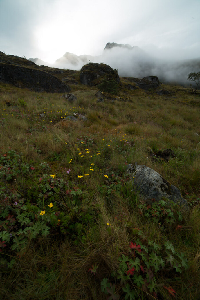 sierra nevada de santa marta colombia