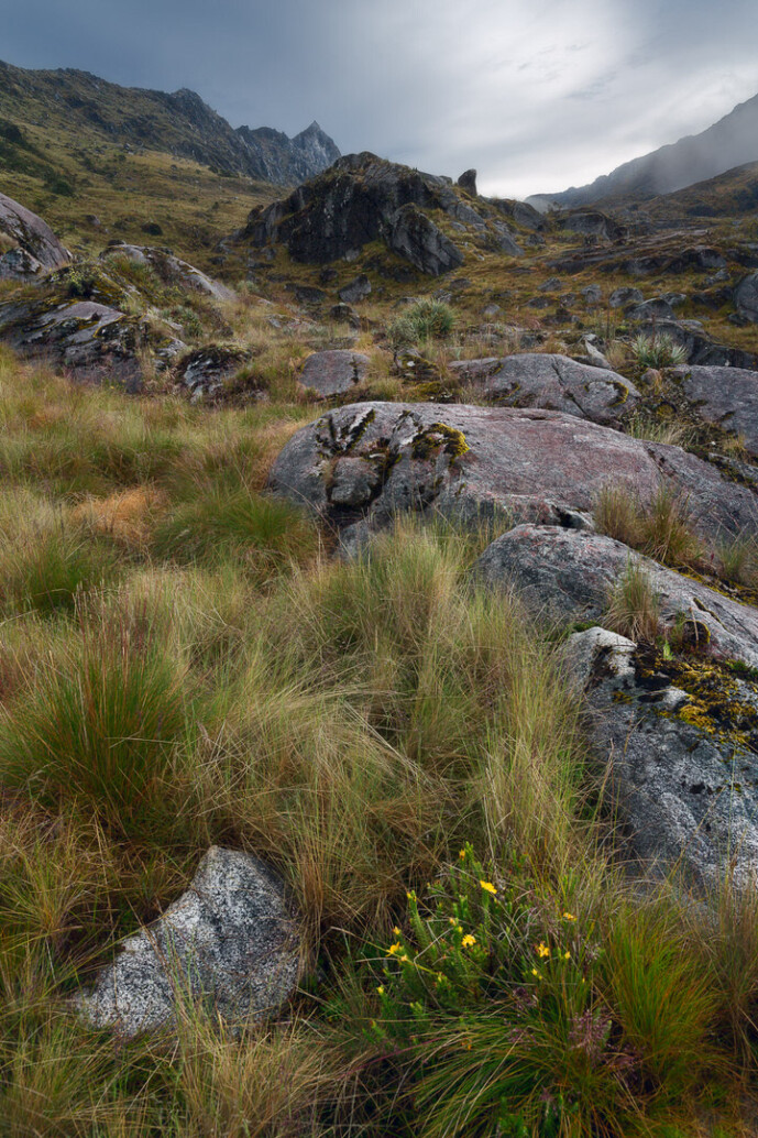 sierra nevada de santa marta colombia