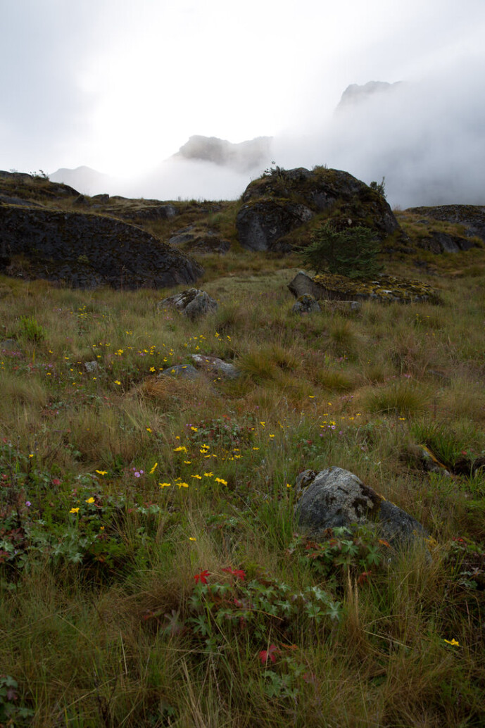 sierra nevada de santa marta colombia