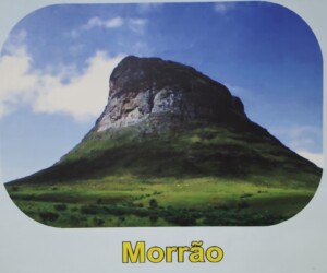 Morrão