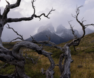 sunset photo activity from hotel serrano