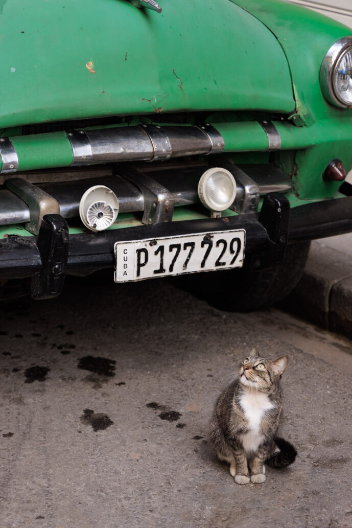 , Havana Havana Province Cuba