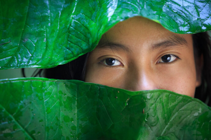 Mundo Nuevo Awindua, Minca Sierra Nevada De Santa Marta colombia